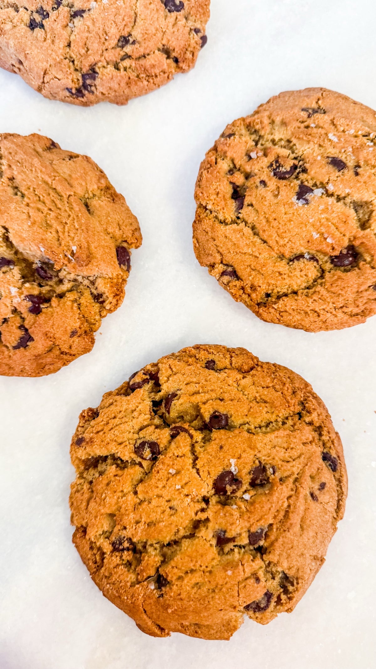 Brown Butter Chocolate Chip Cookie
